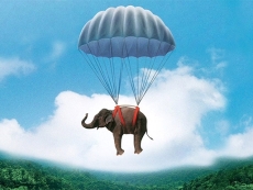 Oracle Java's popularity plummets
