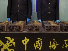 Daft tech smuggler caught at customs