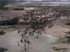 Twitter exodus has begun